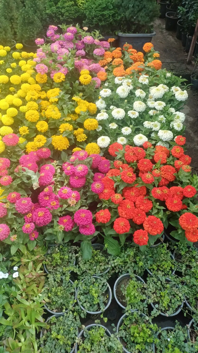 فروش باغ در روستای عگسر آباد خوی