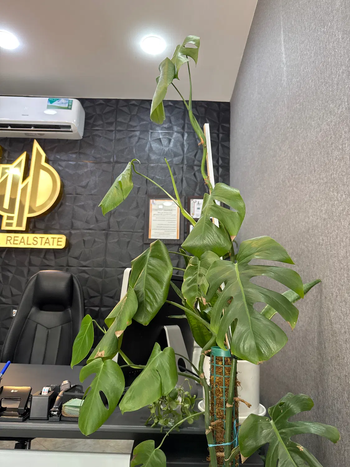 پیش فروش آپارتمان سه خواب حیاط اختصاصی