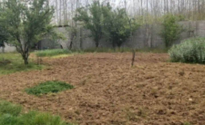 زمین باغی داخل طرح ۴۸۰ متر