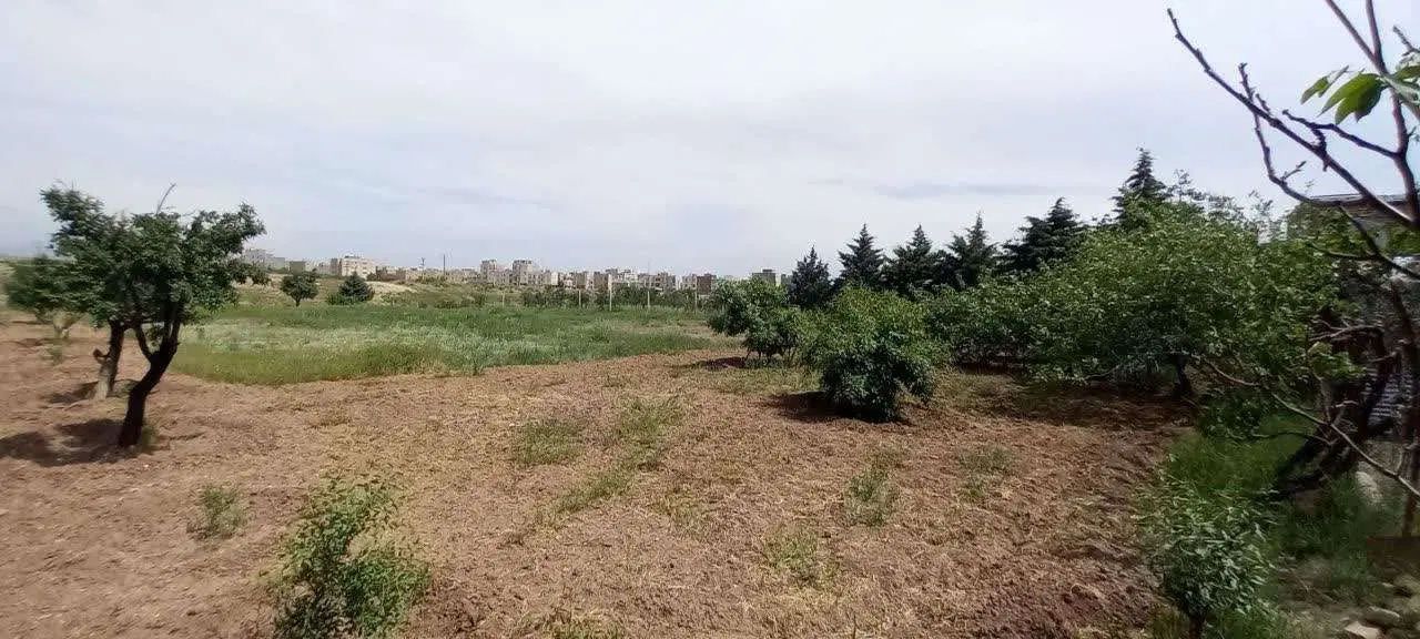 باغچه