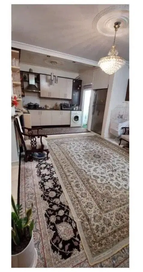 43خوش نقشه وام دار