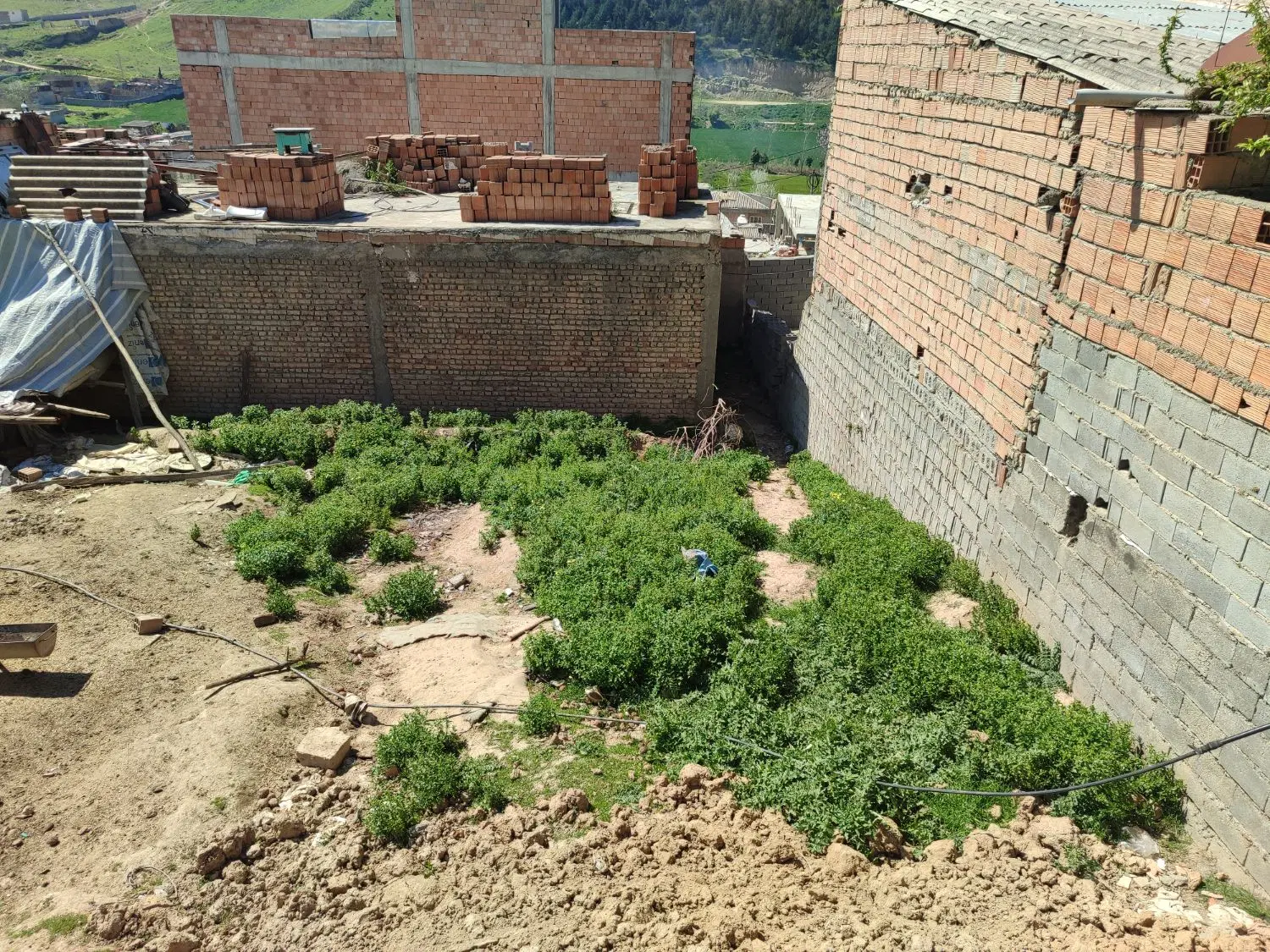 زمین ۱۹۶ متر گلند فخر آباد