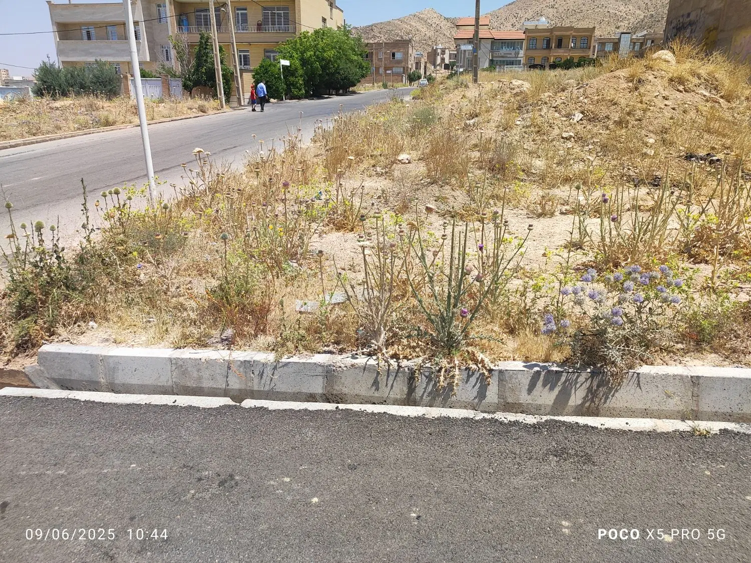 باغشهری دادگستری قدیم صدرا فازدو