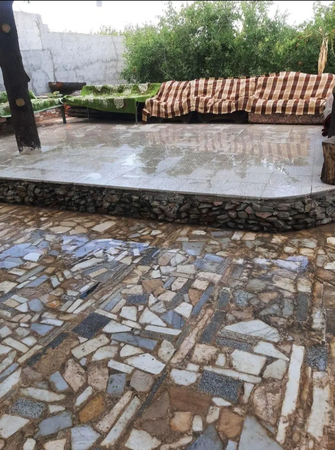 باغ زمین شاهدیه