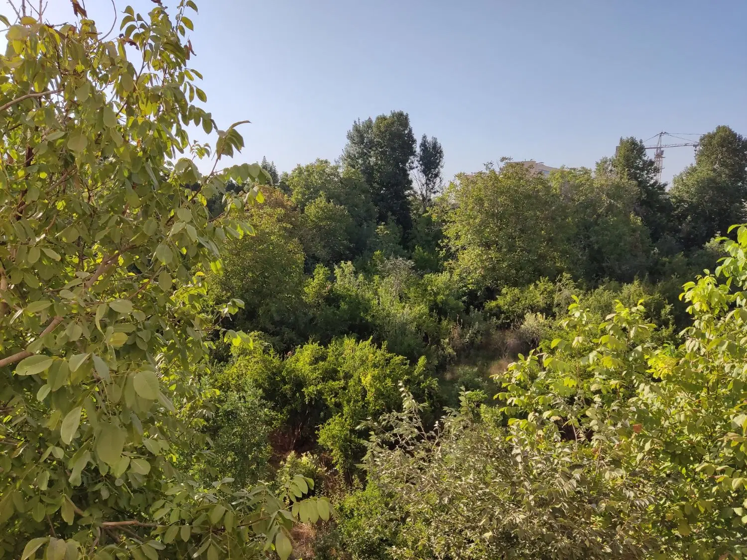 ۳خواب ۲۲۰متر _ ویو باغ