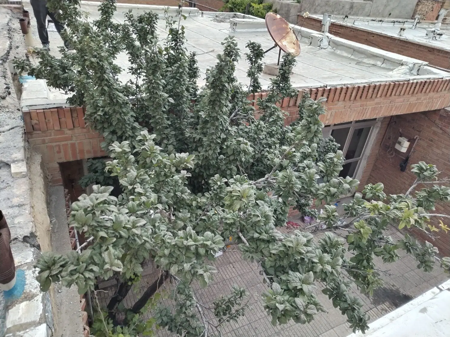 فروش خانه ویلایی