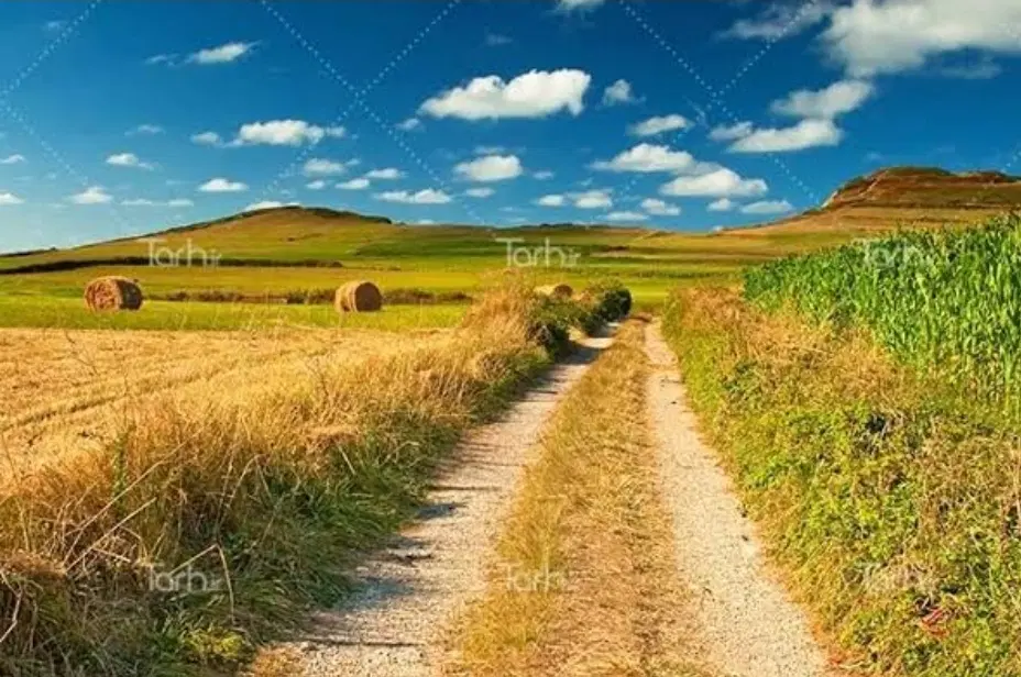 زمین باغی ۵۰۰ متری