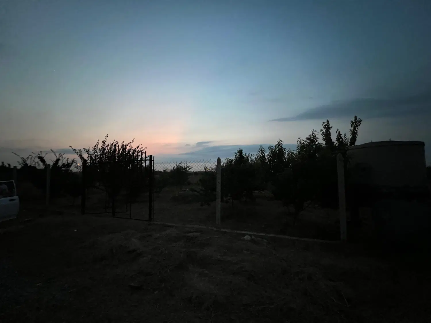 زمین باغی