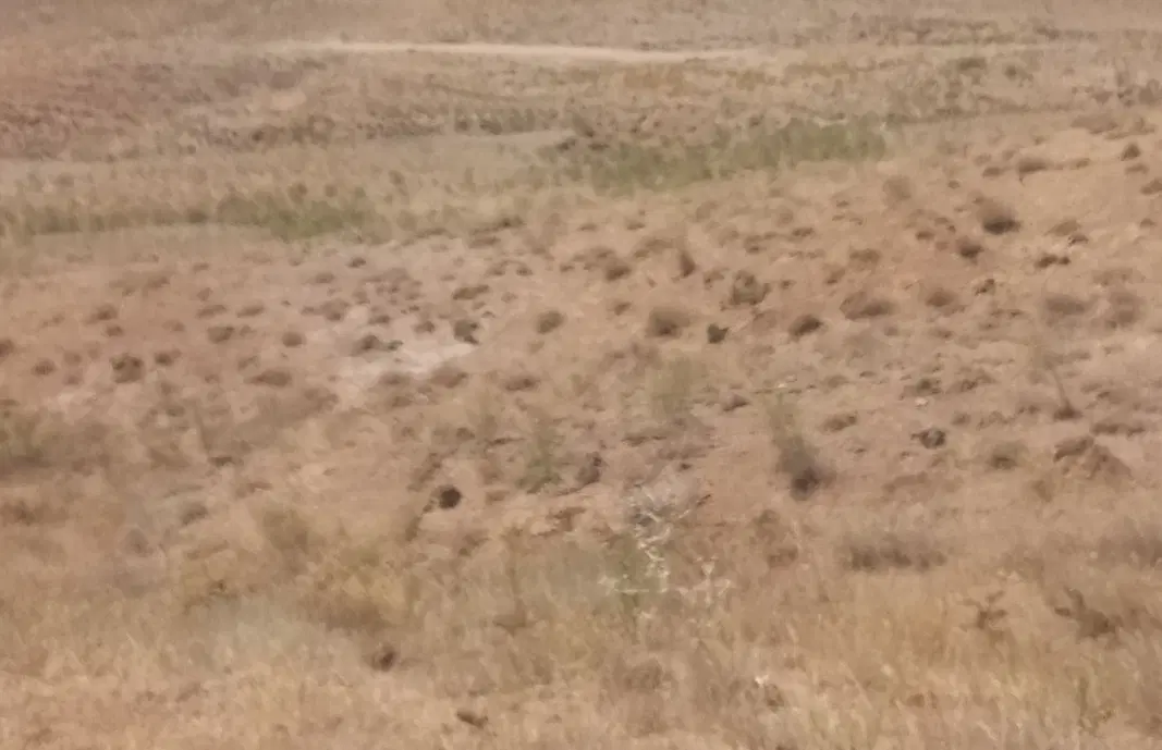 ۱۰۰۰ متر زمین با بر ۲۰ شمالی