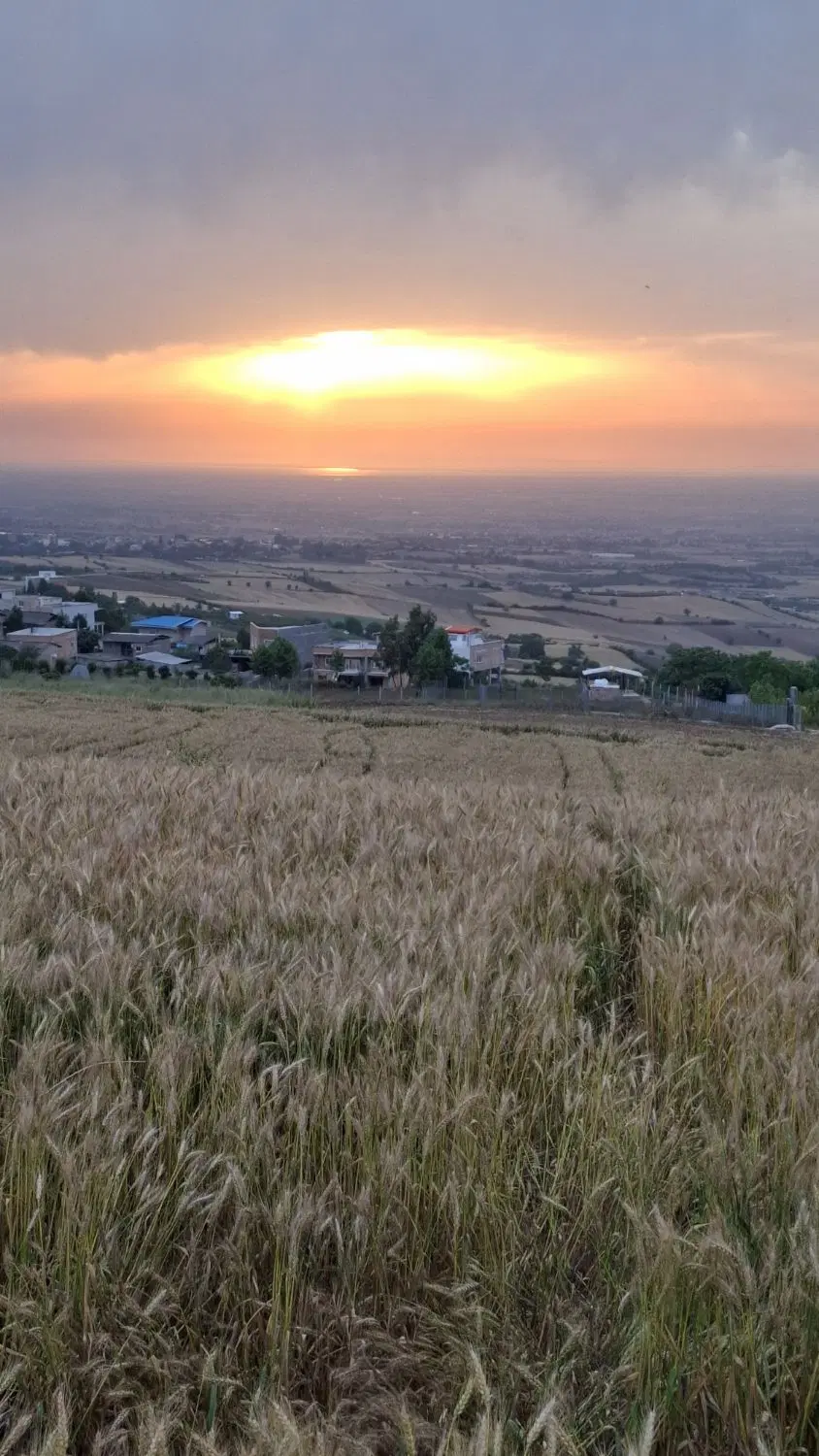۴۰۰ متر باغ آماده روستای نوچمن