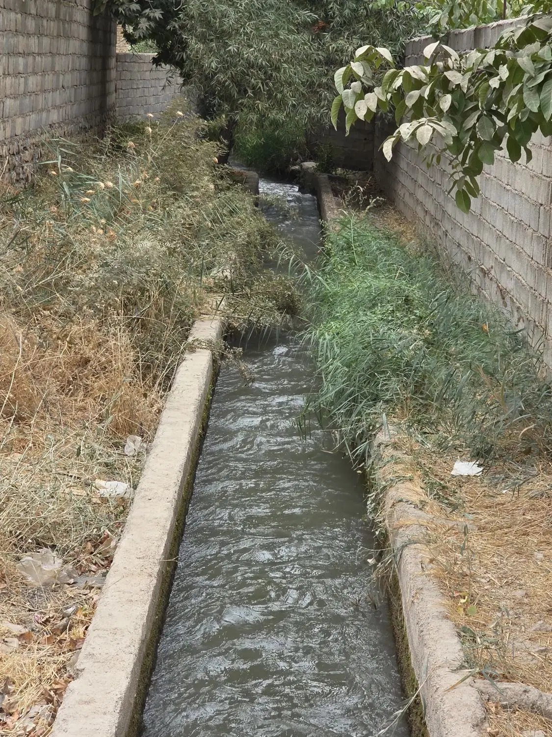 ویلا باغ بهرامجو