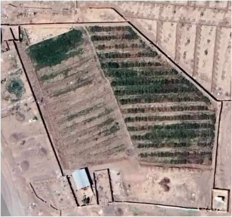 زمین تجاری کشاورزی در رفسنجان