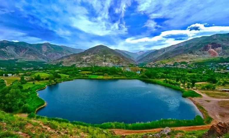 همخانه