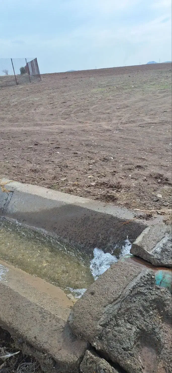 زمین باغی