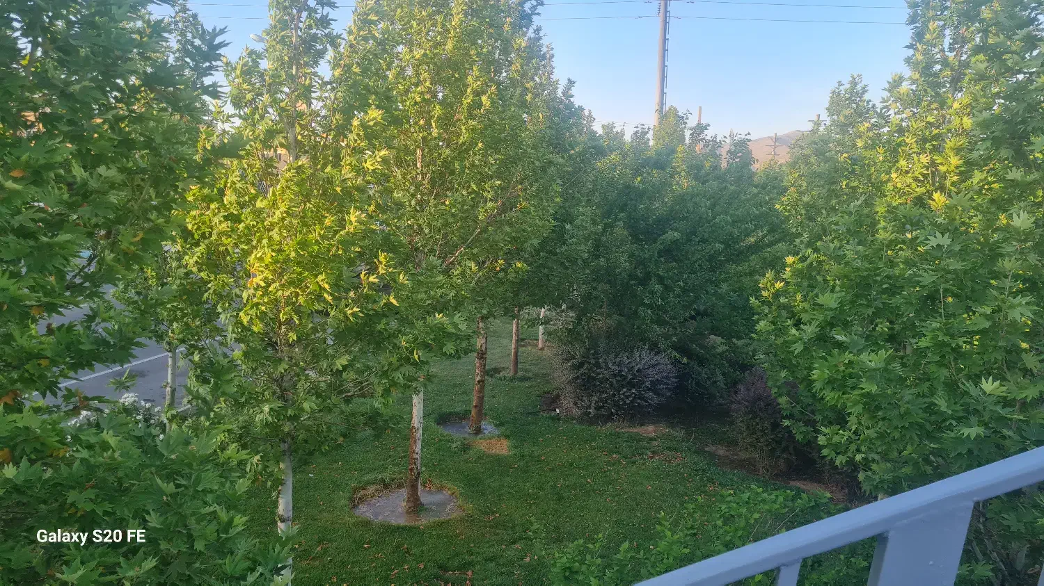 رهن واجاره واحد تجاری
