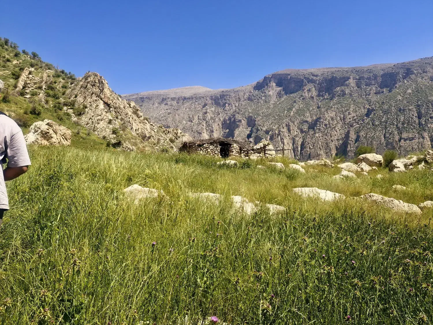 فروش باغ ۶۰۰ متری