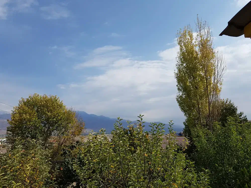 زمین کاربری مسکونی علی آباد
