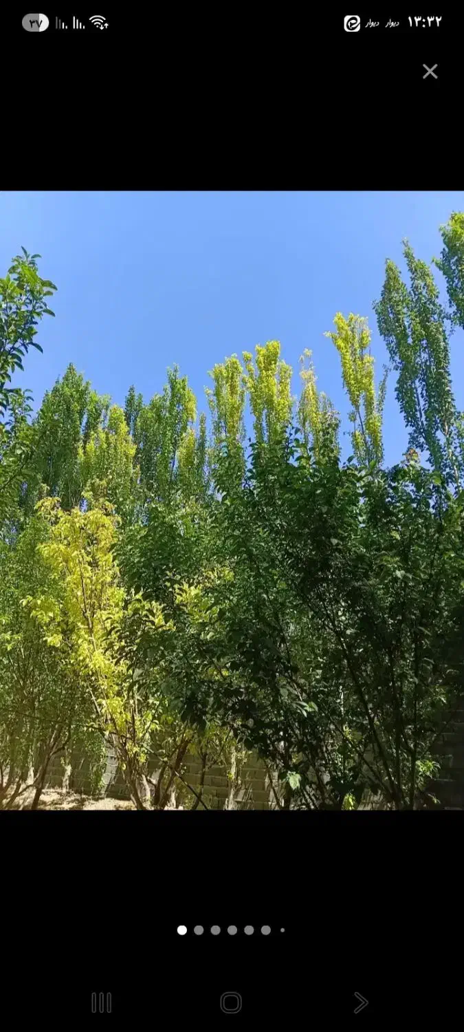 باغ شاهدیه ۴۸۰متر