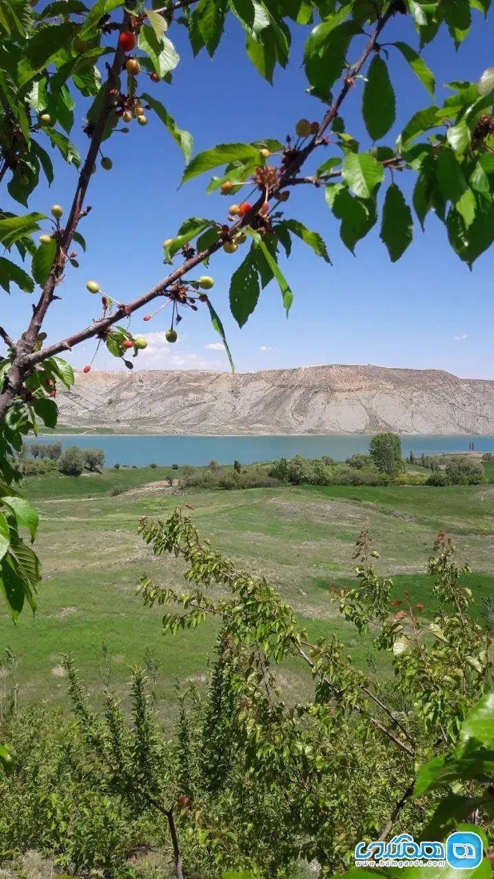زمین مسکونی فیروزکوه