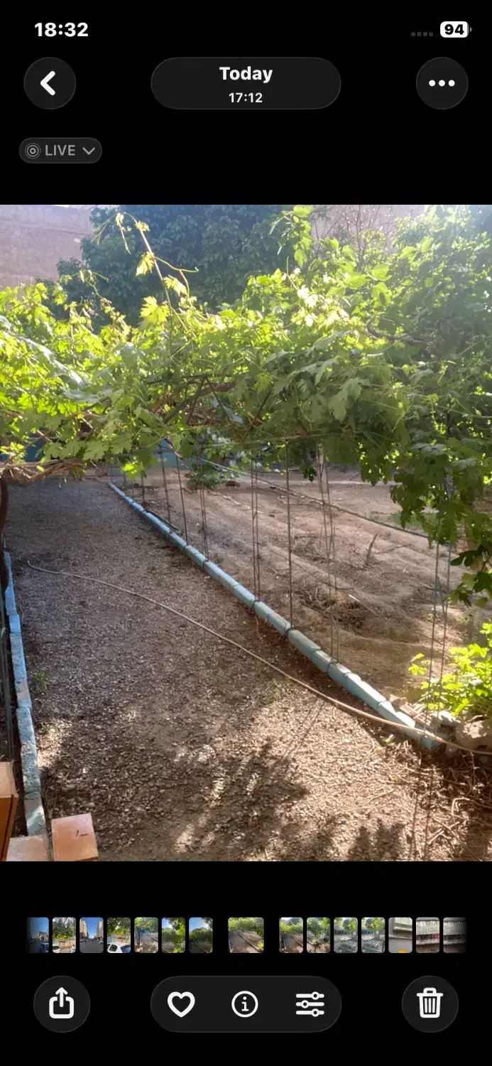 اجاره ۵۰۰ متر باغچه مناسب رستوران سنتی کافه