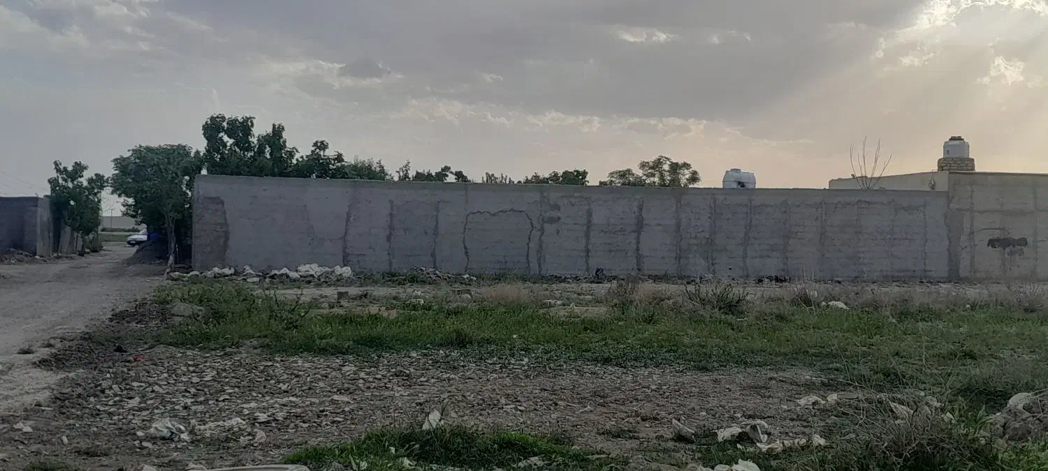 زمین باغی