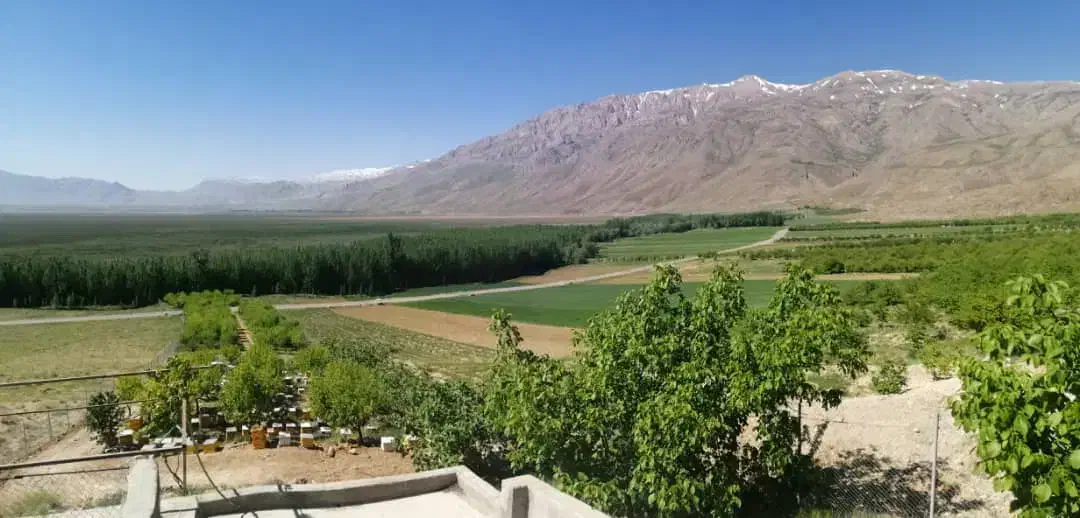 زمین ۶۴۰ متر طرح آتی ( پیشنهاد مسکونی) پهلوانکشی