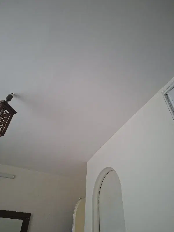 اجاره
