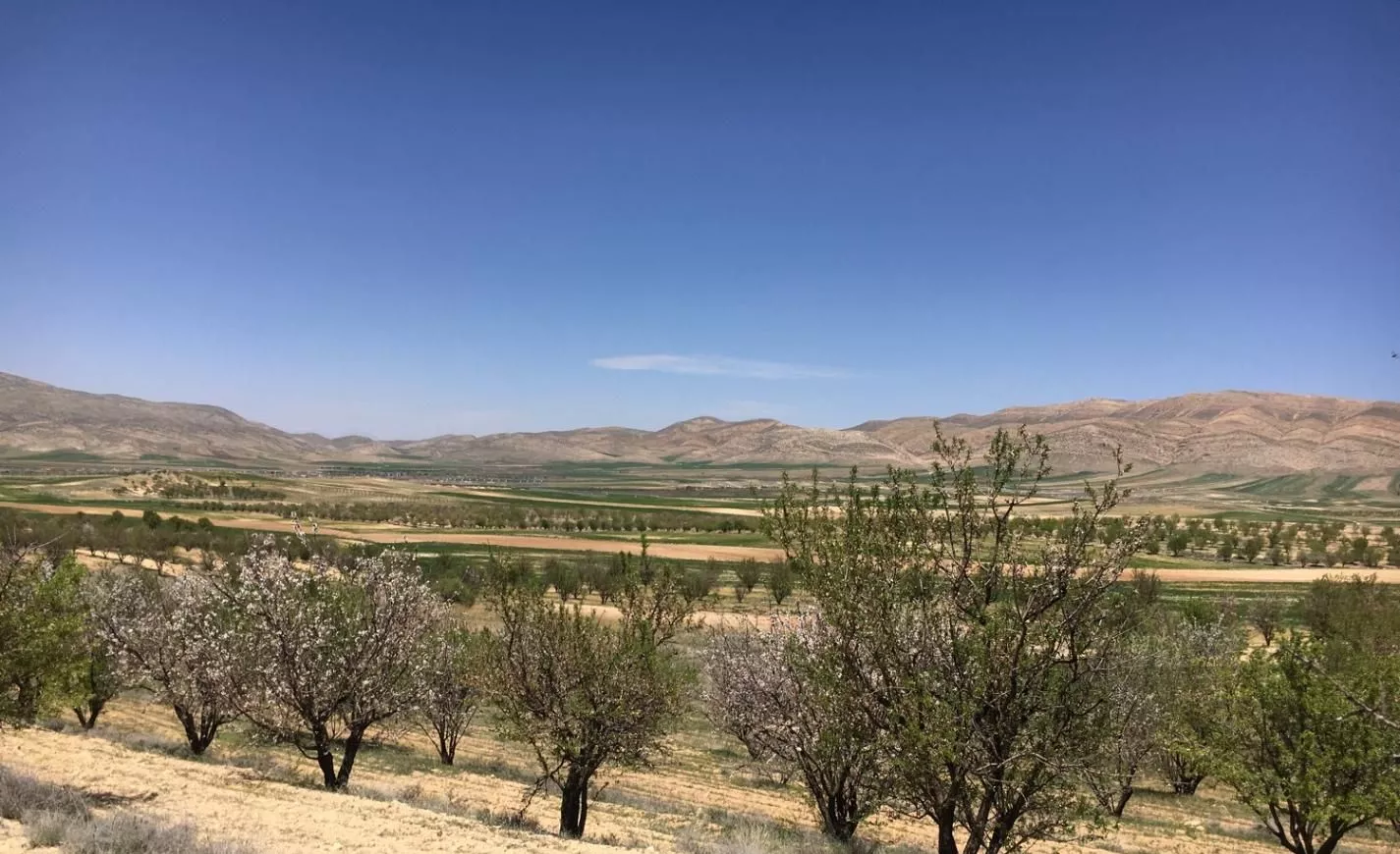 فروش ۱۰۰۰ و ۵۰۰متری زمین باغشهر کودیان