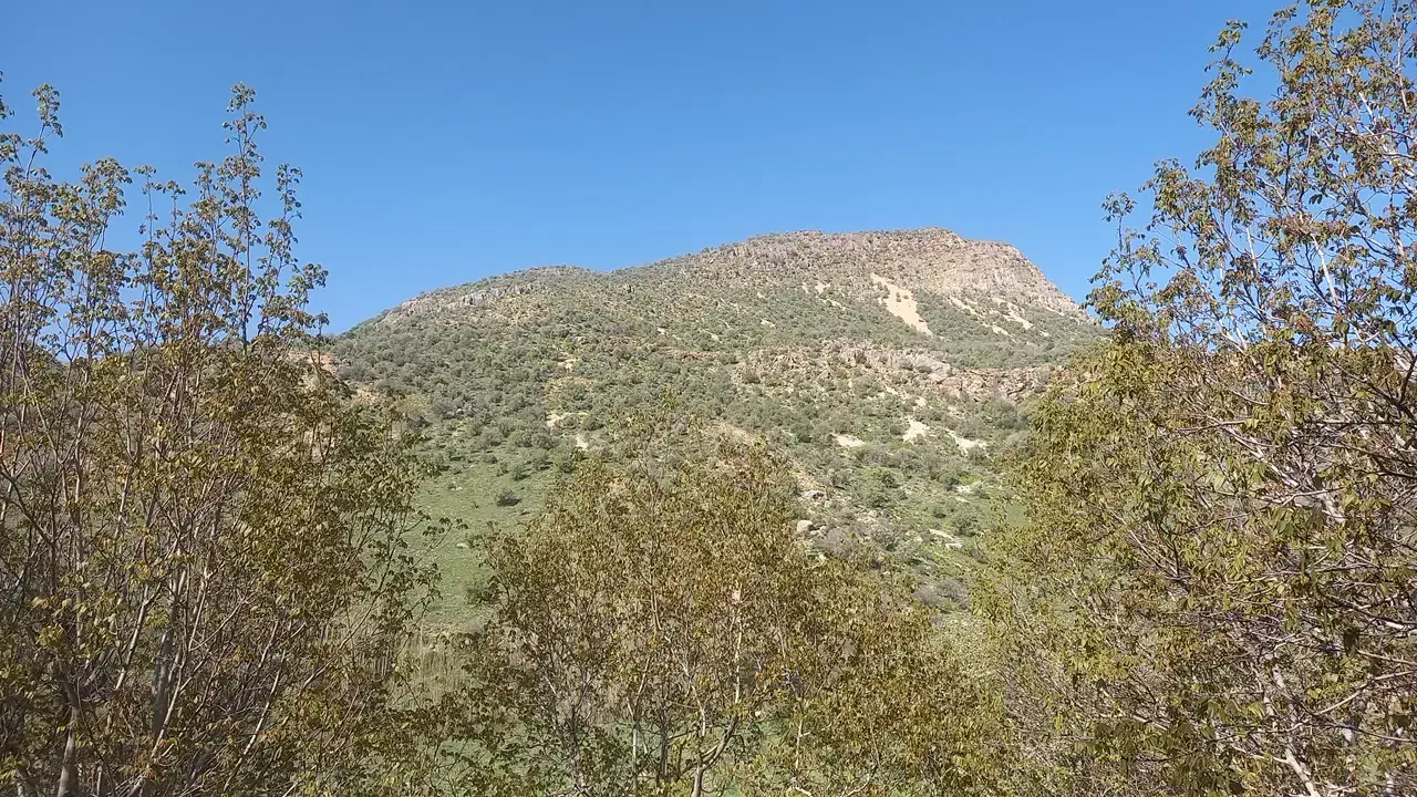 زمین کشاورزی