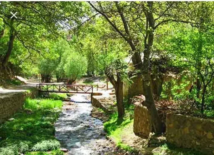 زمین