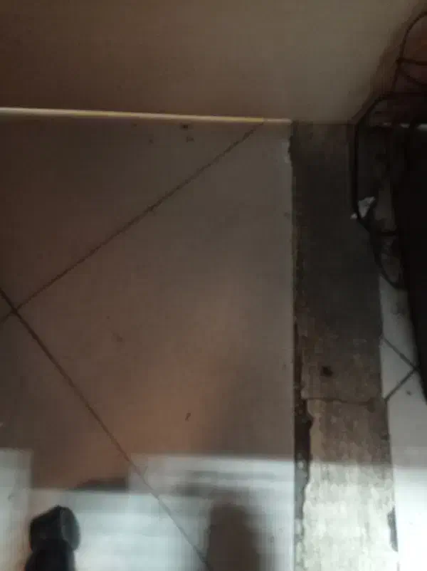اجاره آپارتمان