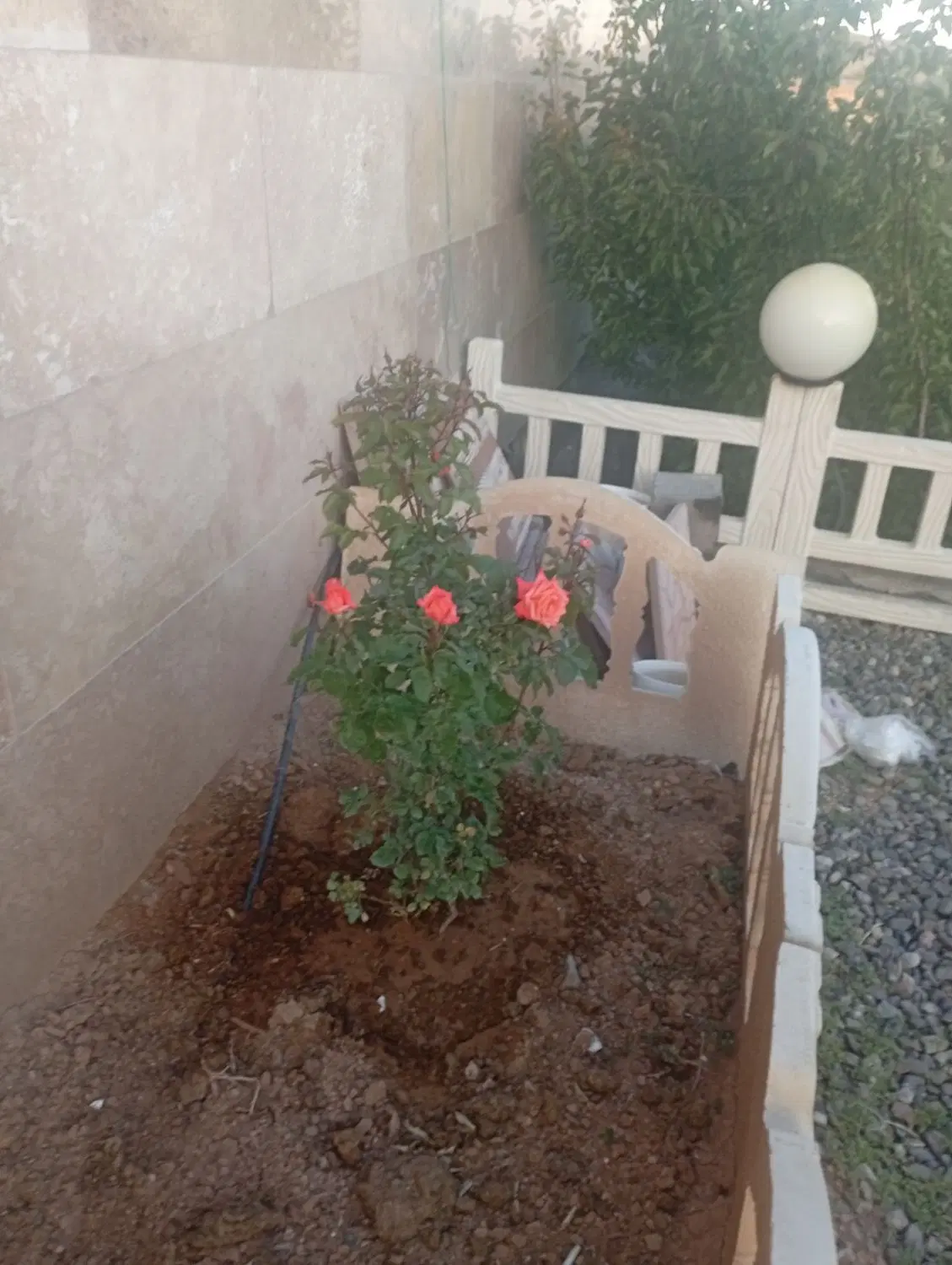 زمین روستای چوره ناب