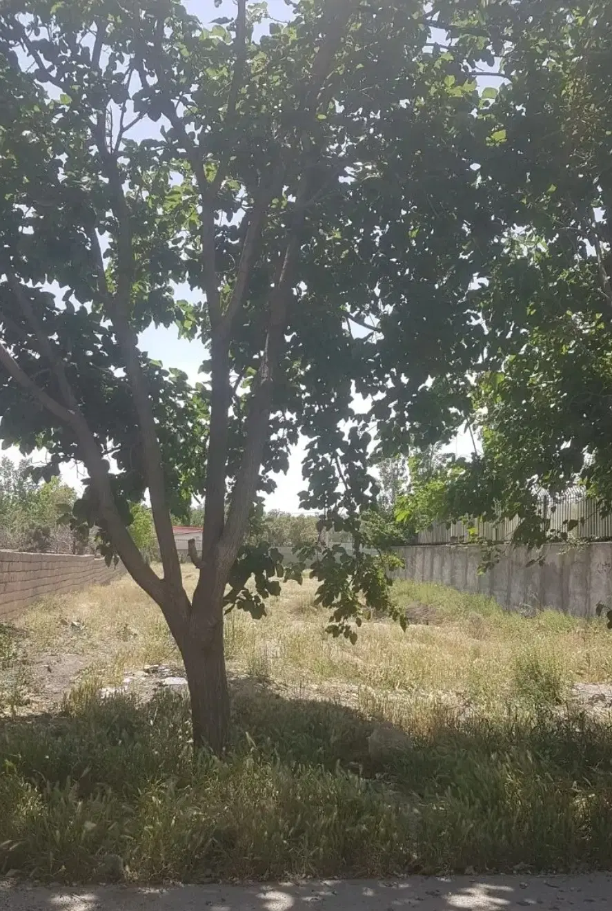 زمین در شهرک بهاران محمدشهر