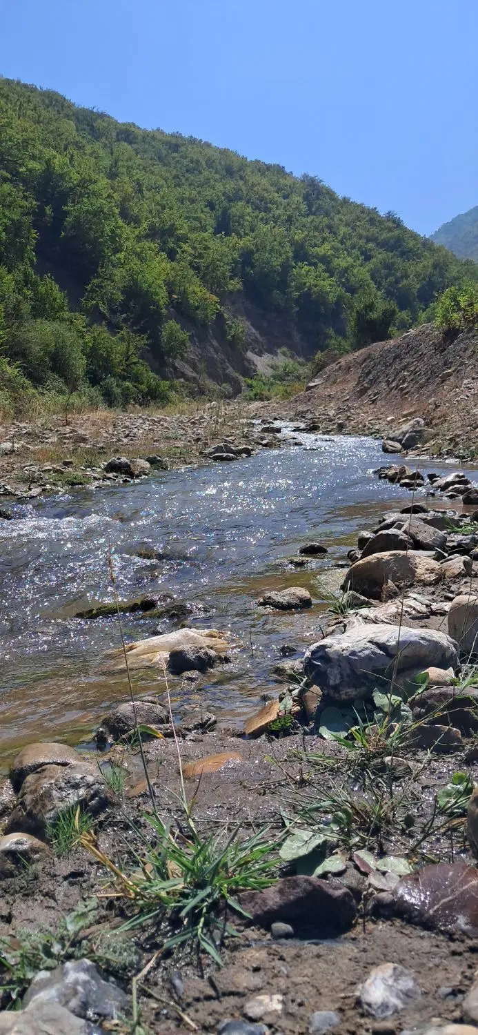 فروش زمین مسکونی