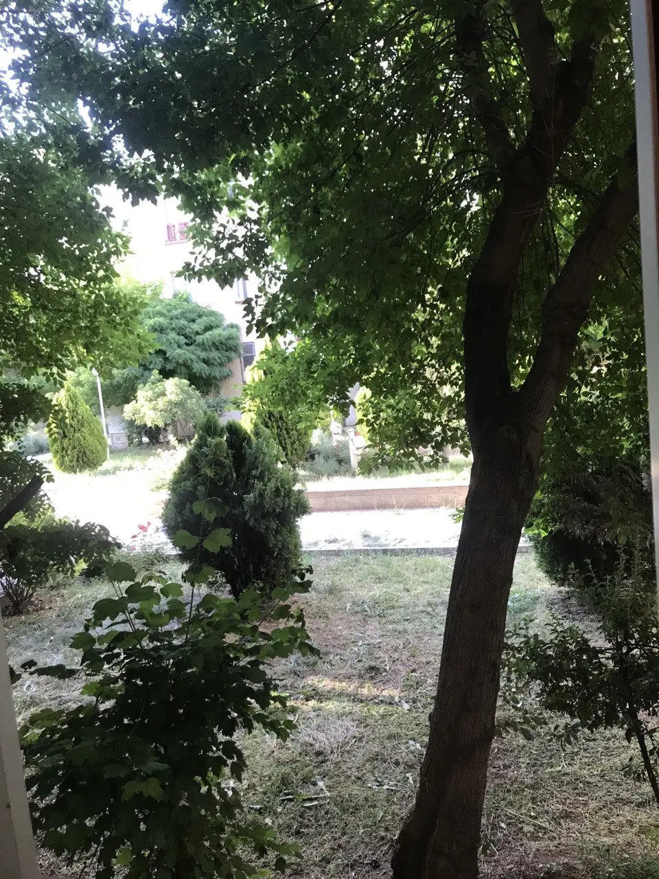 مجتمع گلشهر تک‌ خواب
