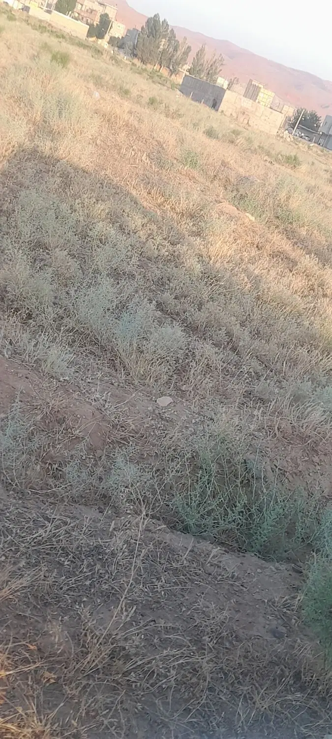 زمین ۸۰متر