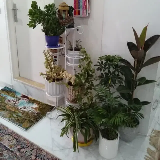 آپارتمان 65 متربا 2 پارکینگ سندی و دو انباری