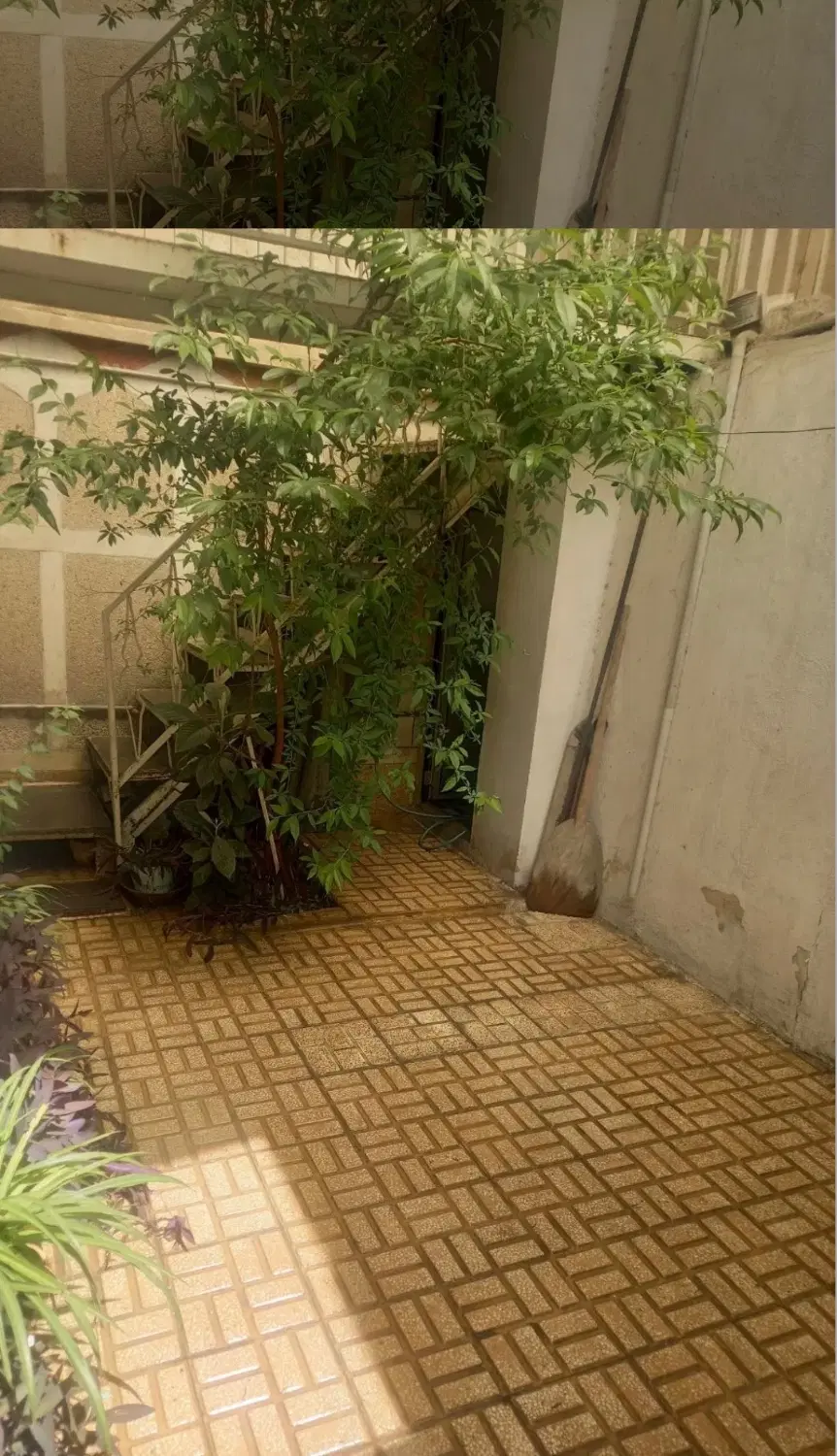 کوهسنگی منزل ویلایی داخل کوچه امیرکبیر ۱۱