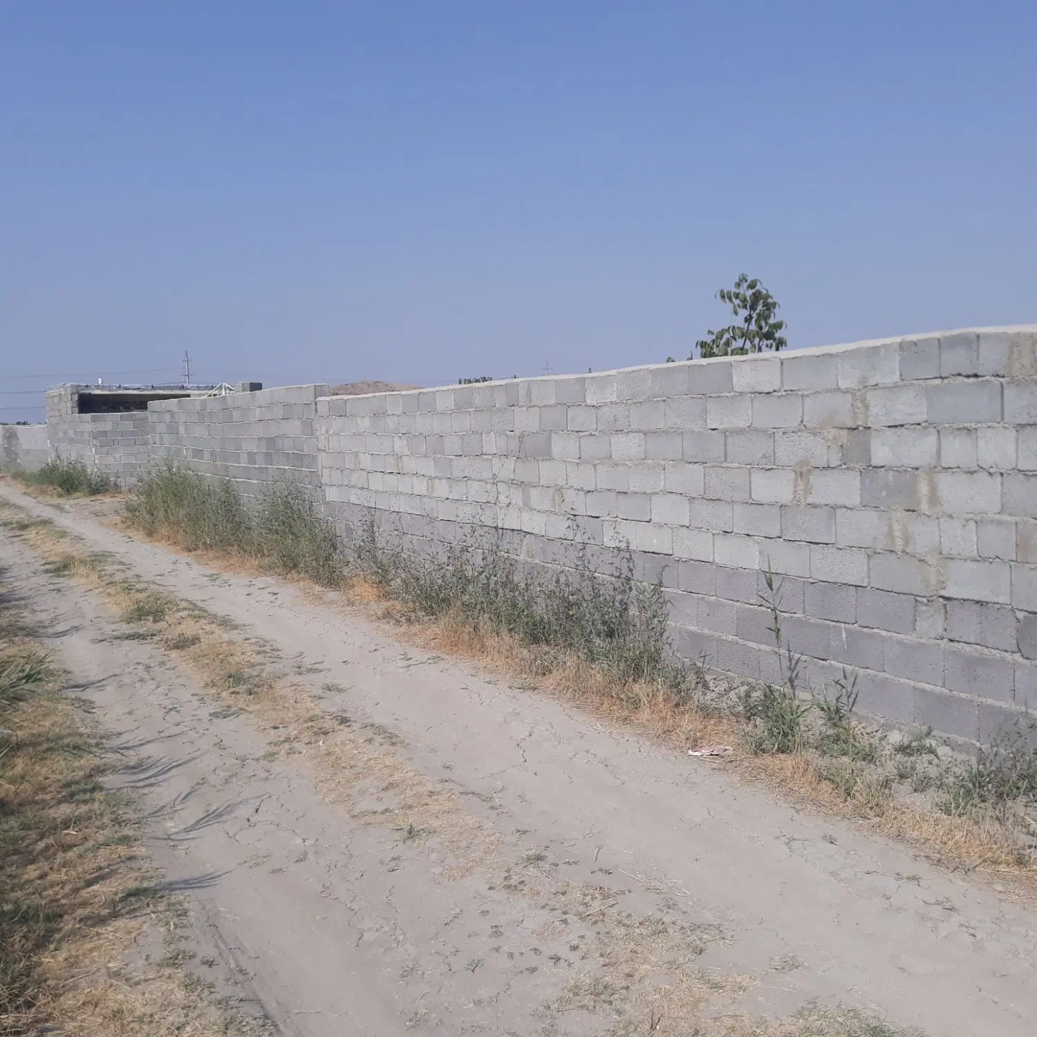 باغچه ۱۰۰۰متر ویلایی در شورکند