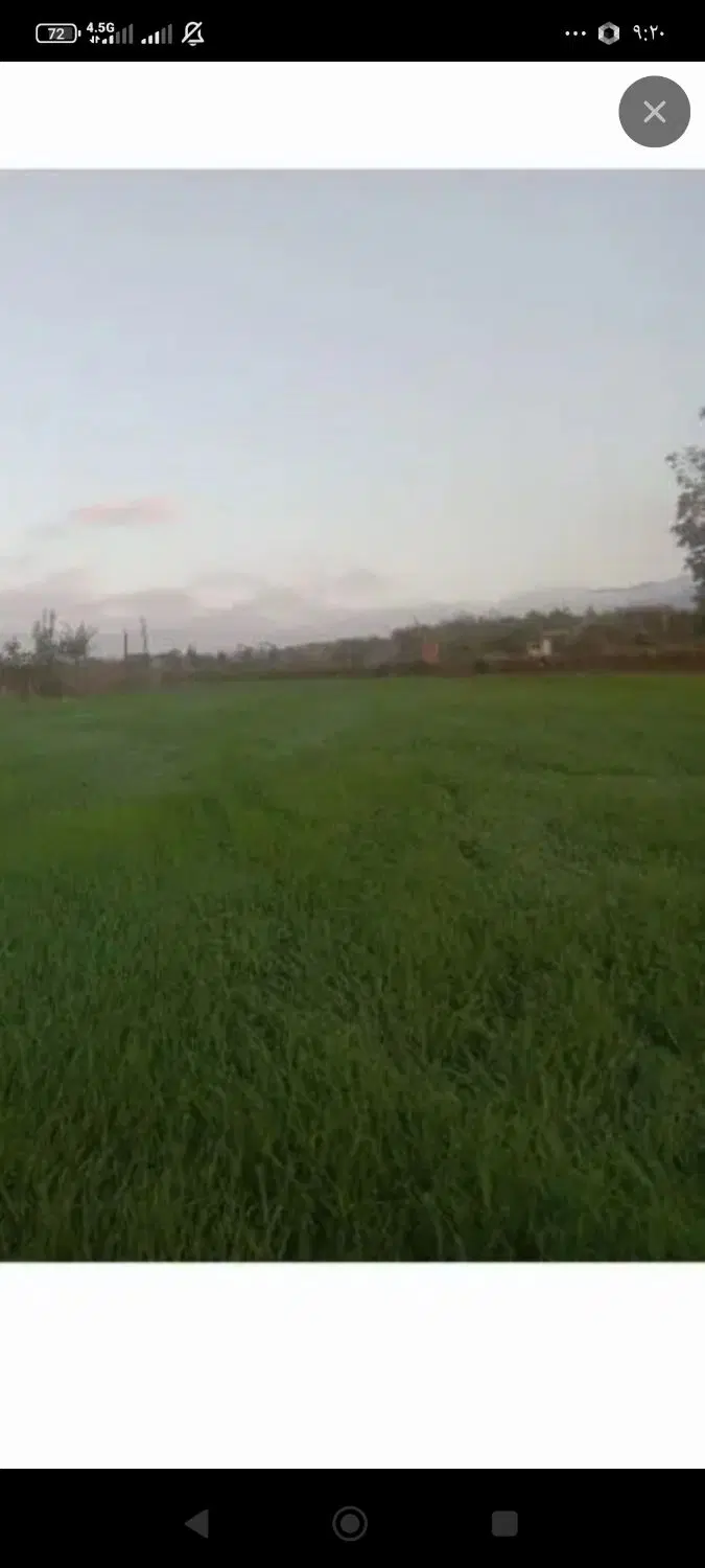 فروش زمین روستای حیدرآباد
