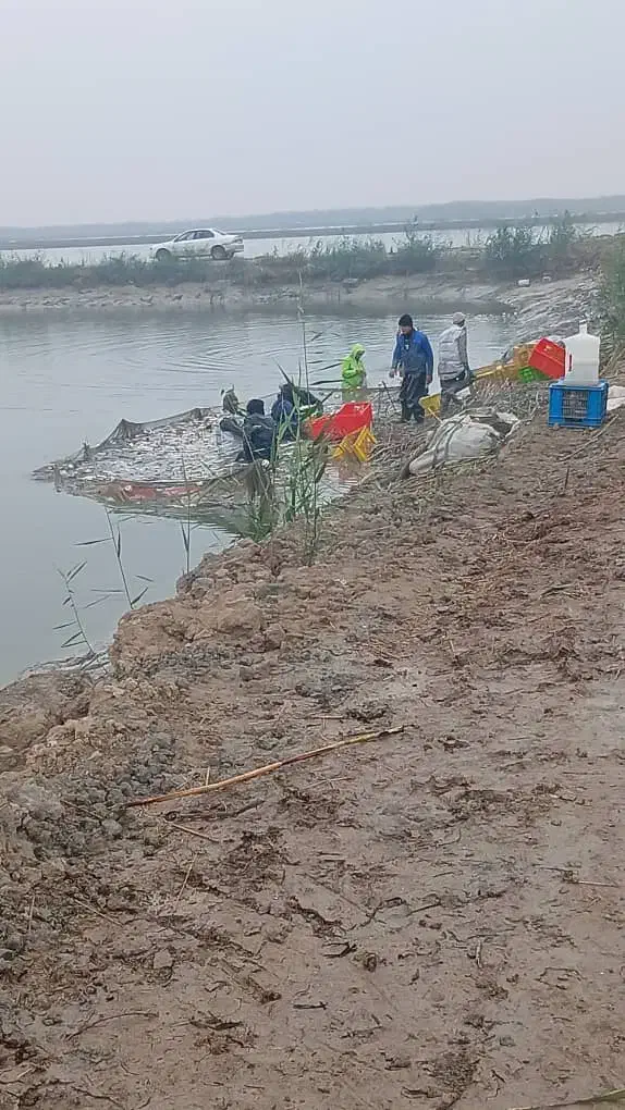 مزرعه پرورش ماهی