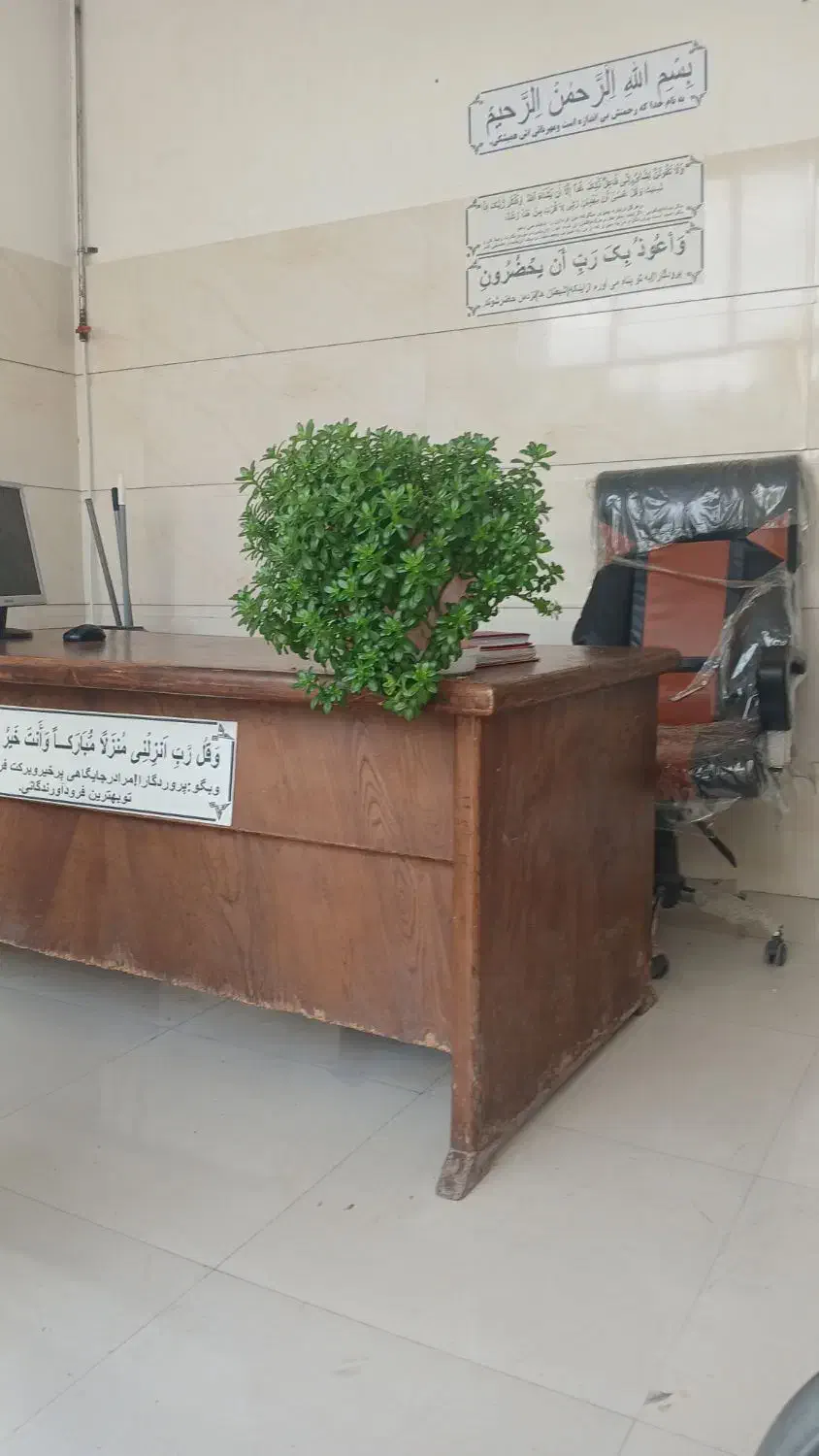 ۳طبقه با بهار خواب در زمین ایلقاردانی بلور ۳