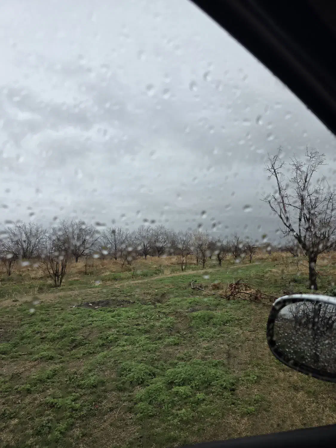 زمین اندیشه فاز چهار  محله ۱+ جواز