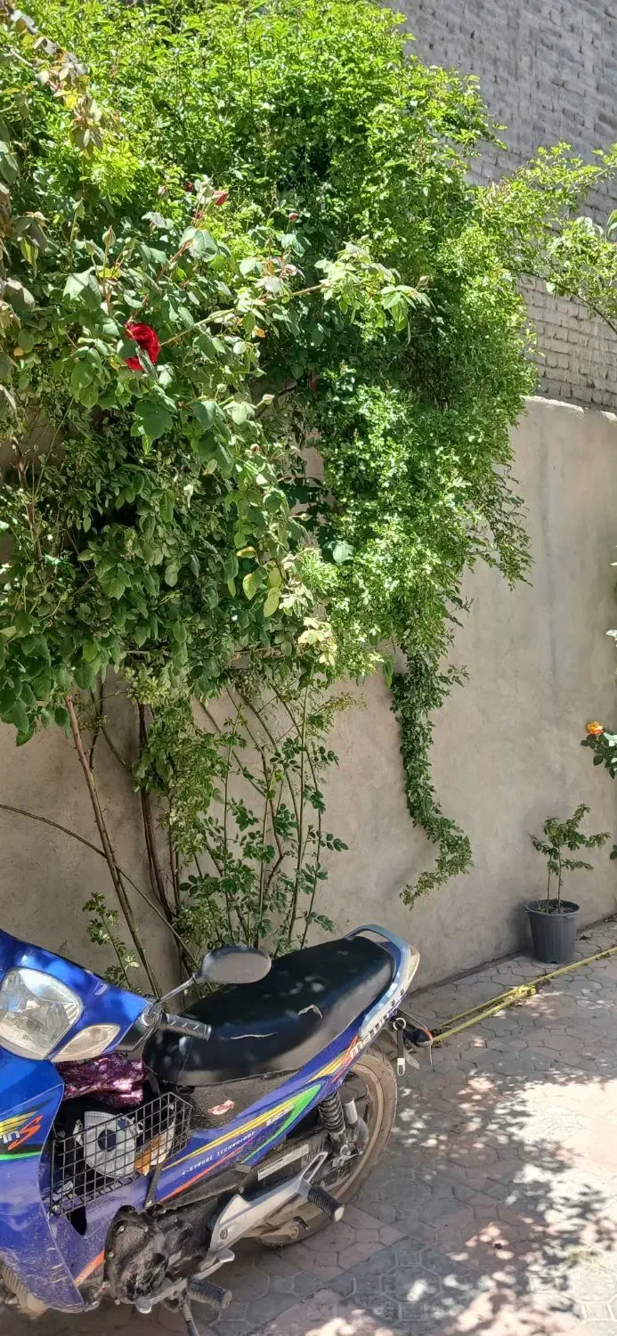 اجاره خانه ویلایی
