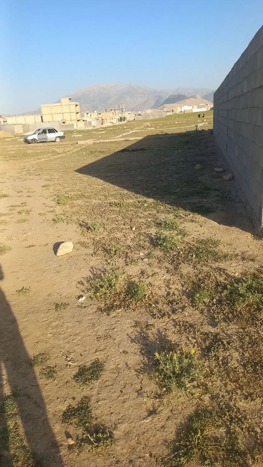 زمین کلنگی