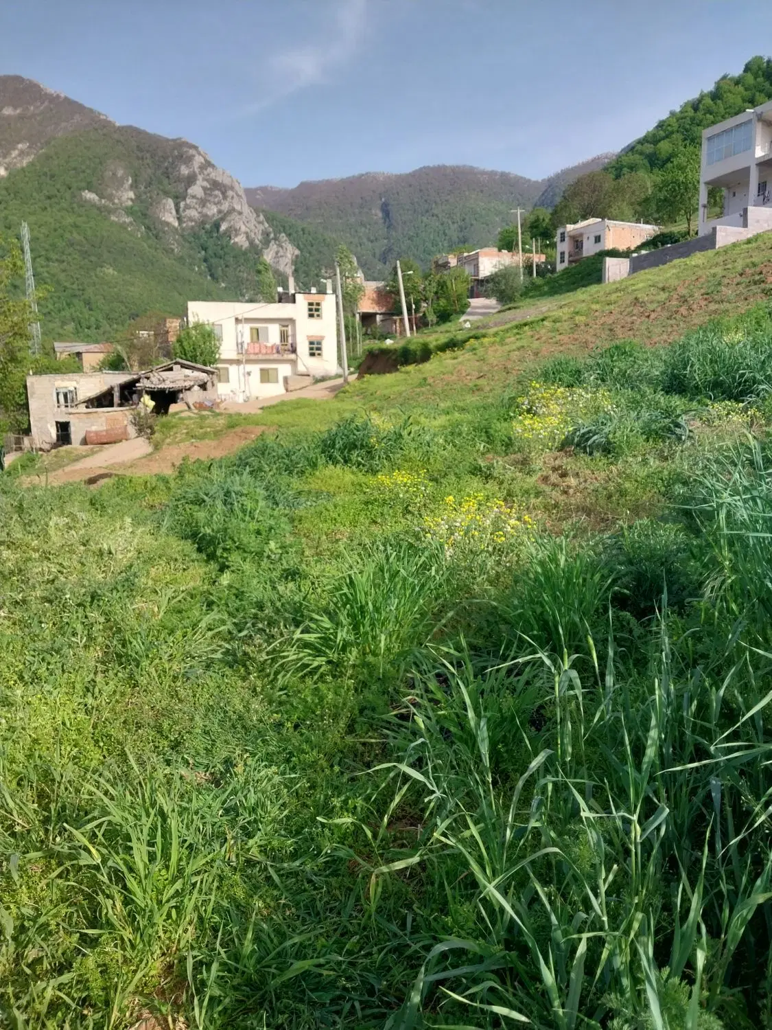 زمین جا خانه زمین باغی  ویلایی
