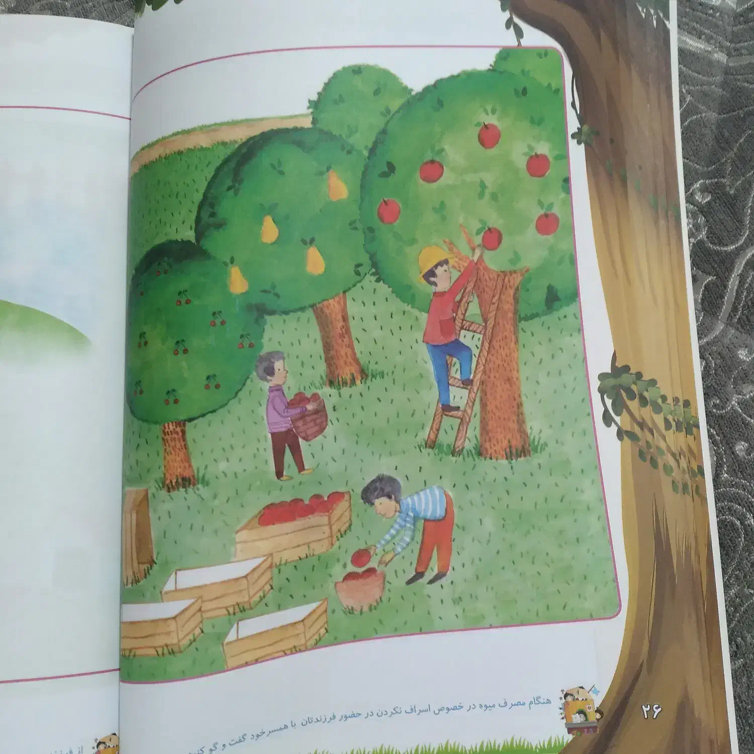 زمین تجاری، مسکونی،کشاورزی