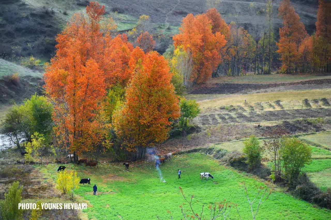 زمین باکاربری‌مسکونی