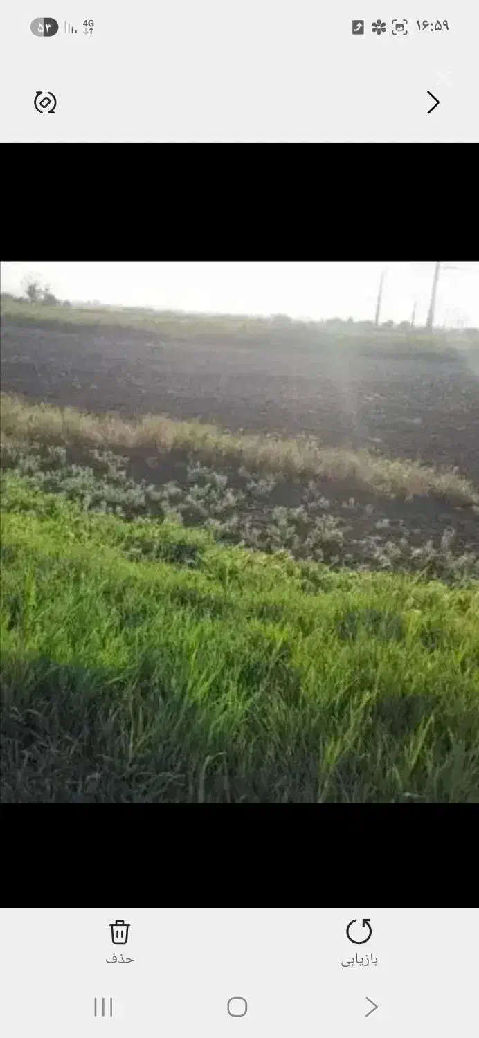 زمین کشاورزی