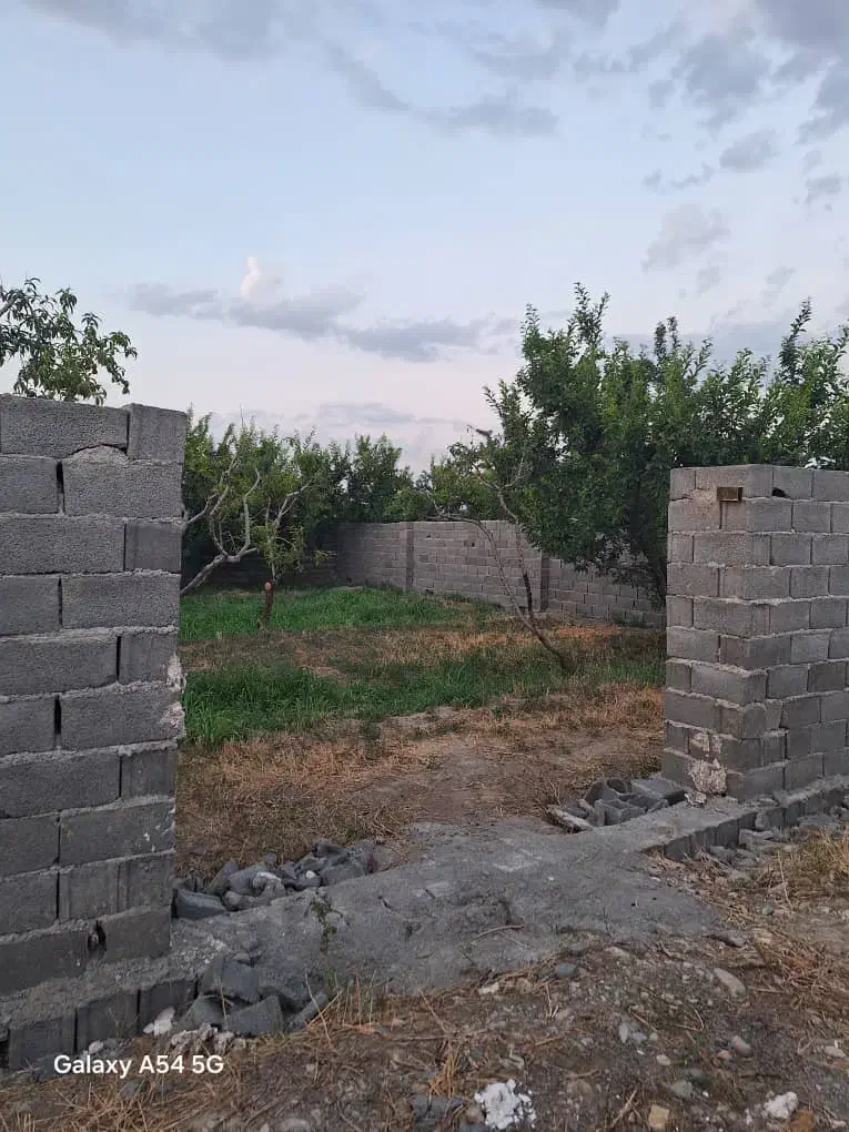 زمین سند تک برگ (تهراندشت)